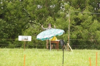 JIG2024_06_21_10_30_0200
